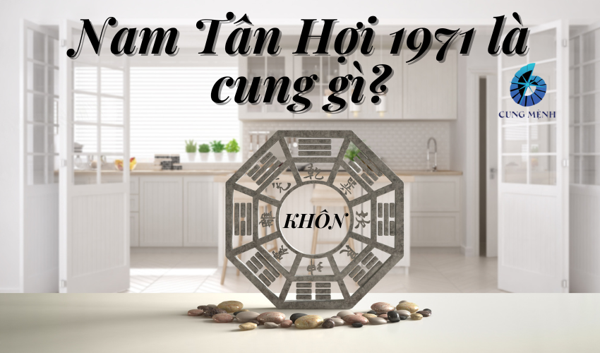 Nam Tân Hợi 1971 là cung gì?